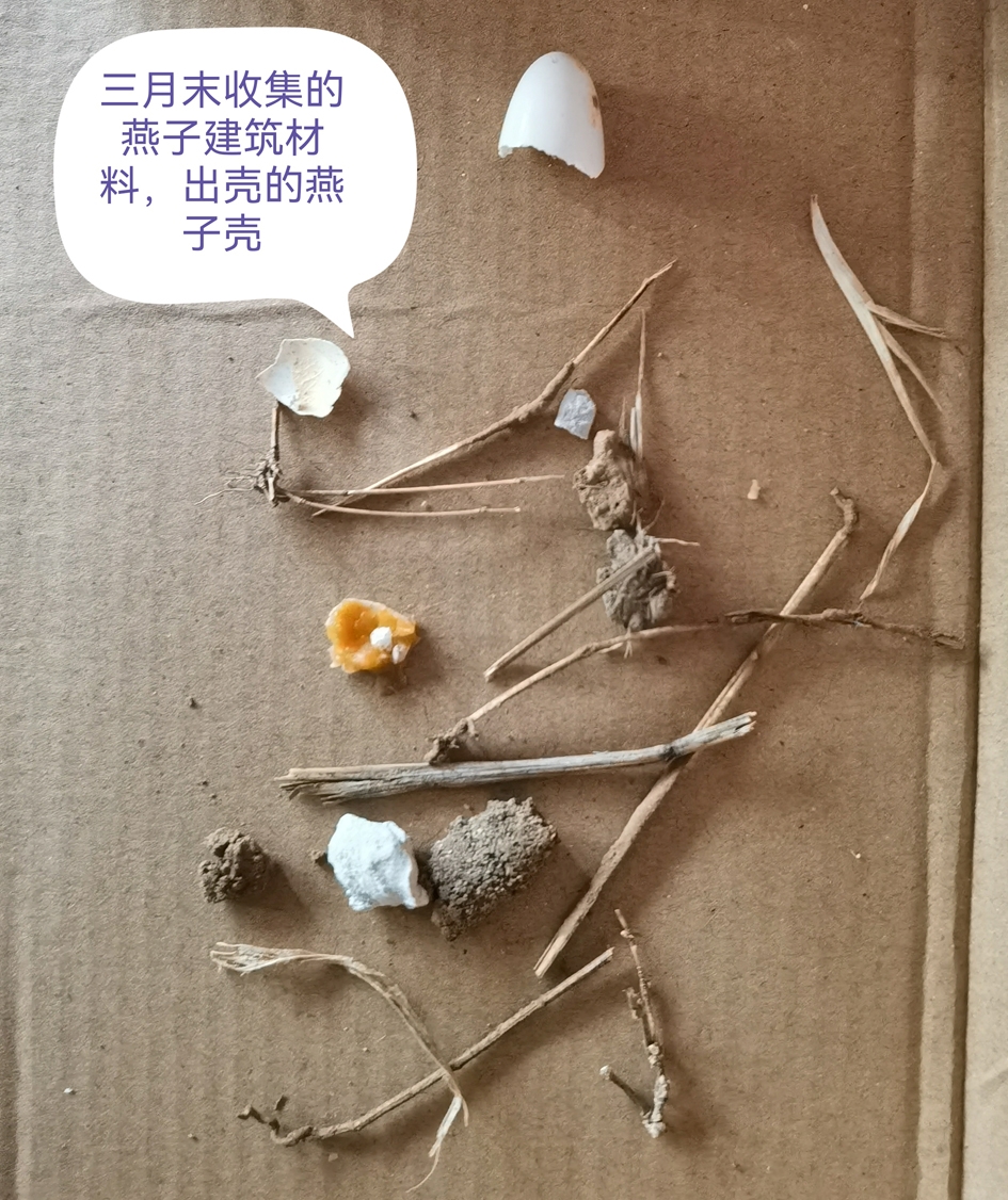 2间.jpg