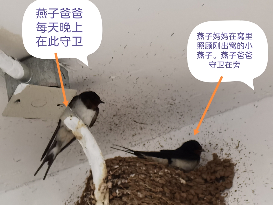 3间.jpg