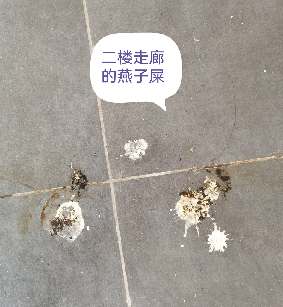 10间.jpg
