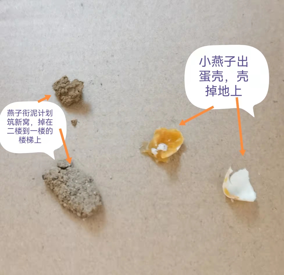 11间.jpg