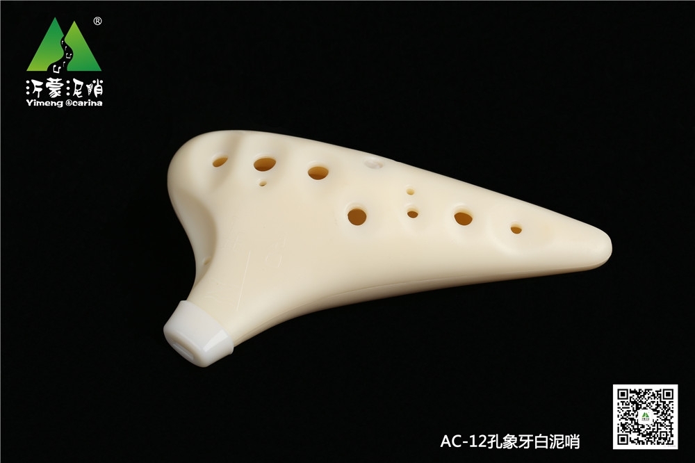 12孔白色AC